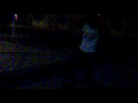 kenny parque isla veracruz