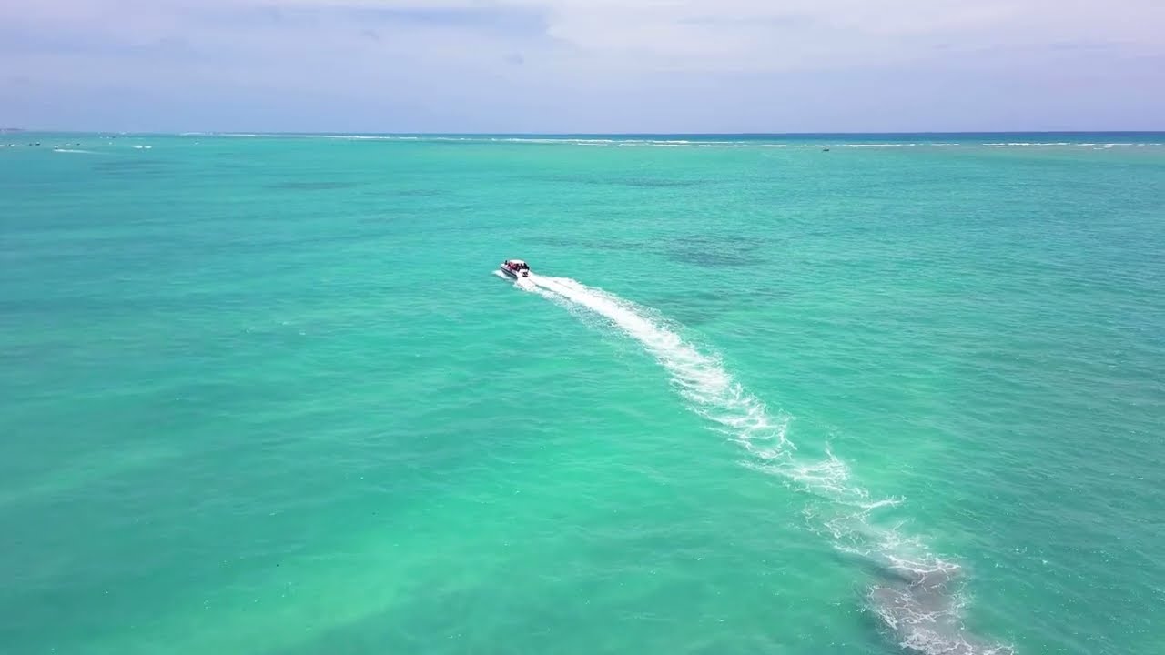 Latest Dancehall mix  2024    Moneycode Mixtape