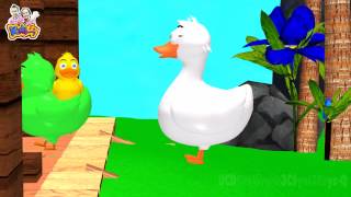 เพลงเป็ด | เพลงเด็ก | เพลงเด็กอนุบาล - KidsMeSong
