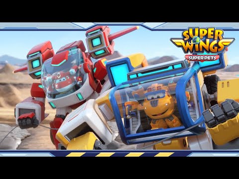 Witness21 Editor  2022 06 18