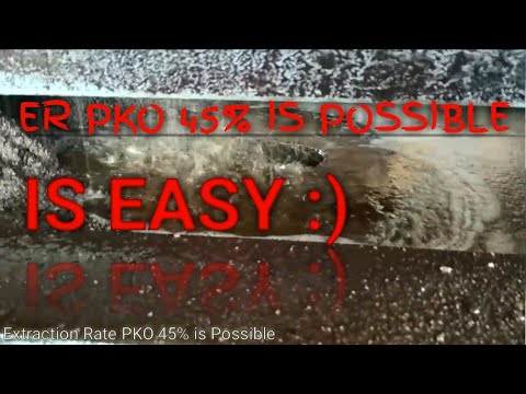 download lagu mp3 mp4 Cpko Palm Oil, download lagu Cpko Palm Oil gratis, unduh video klip Cpko Palm Oil
