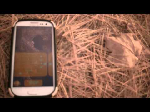 Gilson Road Cemetery Video 2