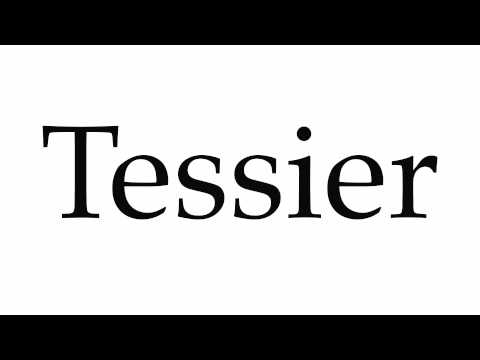 How to Pronounce Tessier