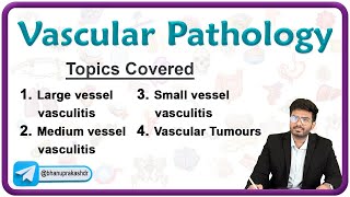 🩸🛤️ Vascular Pathology ( Part 1 ) : Vasculitis & Atherosclerosis!🔬 Pathology Chapter - 4