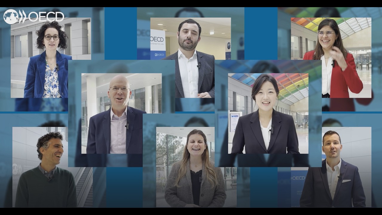 What are OECD Economic Country Surveys ?