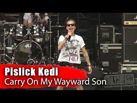 PİSLİCK KEDİ - Carry On My Wayward Son (Milyonfest izmir 2019)