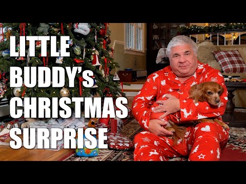 Little Buddy Opens Her Christmas Gift 🎁🐶 | New KATO N-Gauge Train Unboxing | Best Helper Ever