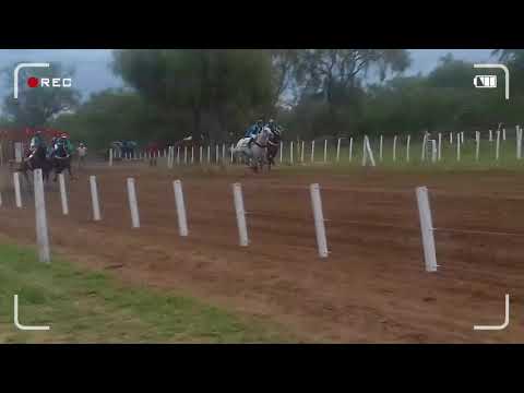 carreras de caballos 1. negrucho