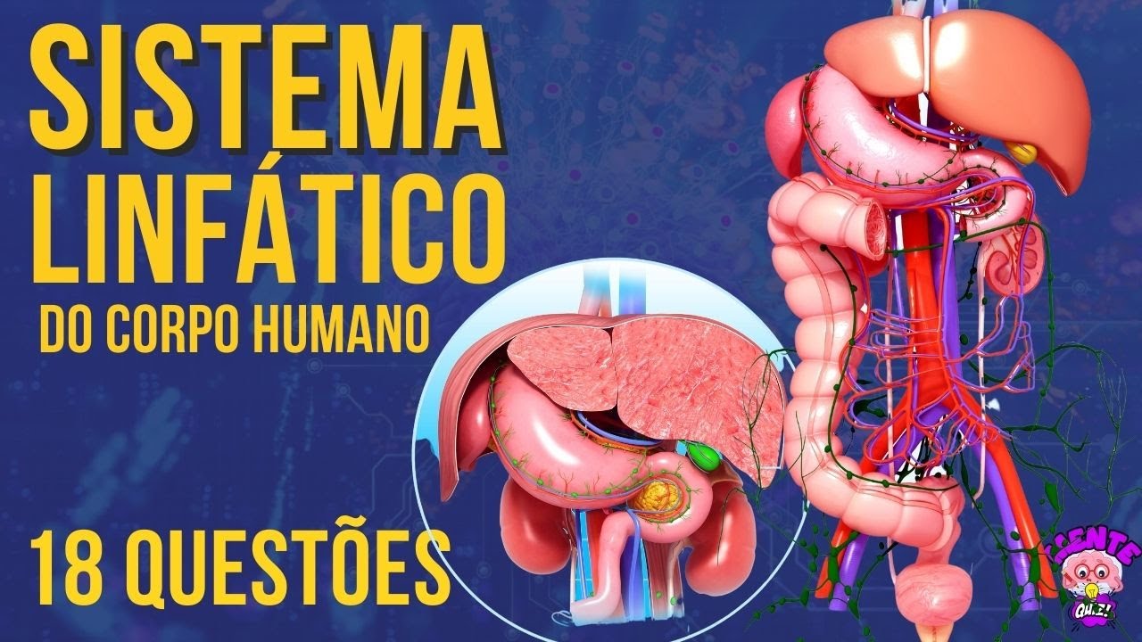 SISTEMA LINFÁTICO|CORPO HUMANO POR DENTRO|APRENDA DE UMA VEZ POR TODAS SOBRE O SISTEMA LINFÁTICO|