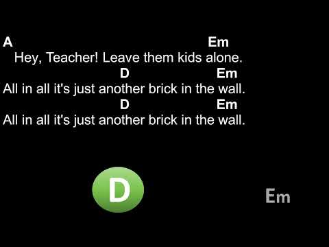 Aalscholvers - Broeder Dieleman