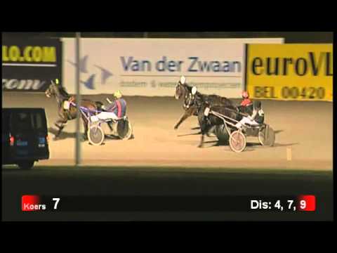 Victoria Park Wolvega 8-2-2013 KOERS 7 VINCE GOES ALONG - B. CREBAS