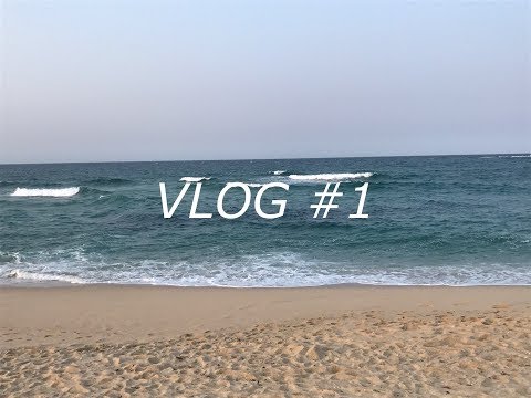 VLOG #1 Daytrip to Gangneung
