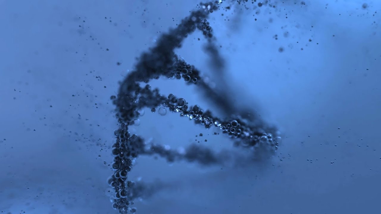 The Power of Nanobodies to Fight Cancer