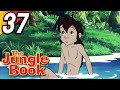 TEARS BEFORE THE BATTLE JUNGLE BOOK Full Episode 37 English