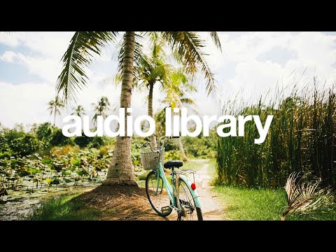 Palmtrees – Scandinavianz (No Copyright Music) Video
