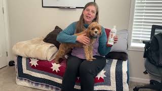 Dog Shampoo, Conditioner & Detangler - Best Shampoo for Goldendoodles, Poodles & Doodles Pet Hair