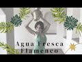 Flamenco Dance Agua Fresca Flamenco Los Angeles Arleen Hurtado Bailando Flamenco