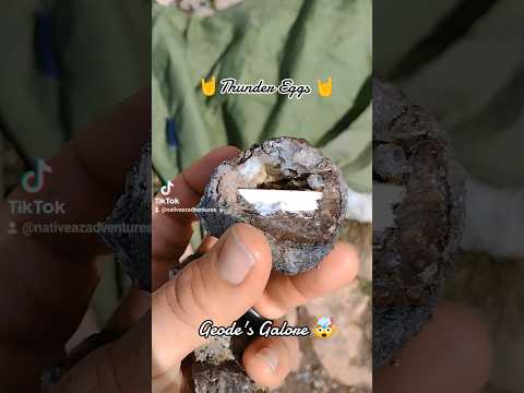 Thunder Eggs & Geodes Galore | Check It Out & Stay Tuned For More!