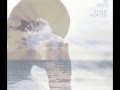Indigo Dub - Taken by Trees