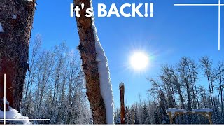 SUN IS BACK IN ALASKA !! - HOMEMADE VANILLA -HOMESTEADING ALASKA