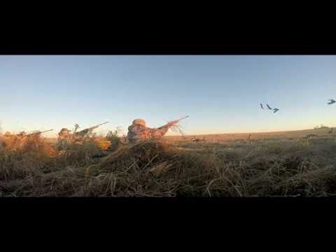 Crushing Mallards 2015