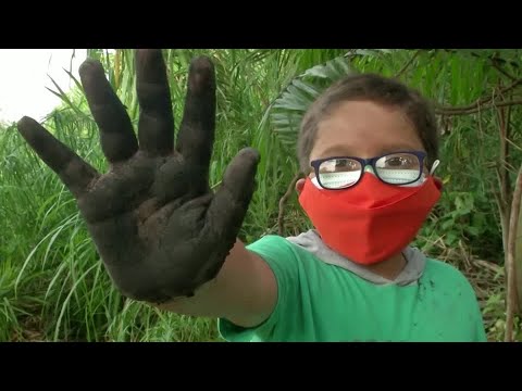 Eleven-year-old activist planting hundreds of trees in Colombia