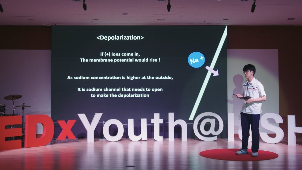 The Role of Questions in Learning and Life | Taehyun Joung | TEDxYouth@IJSHS