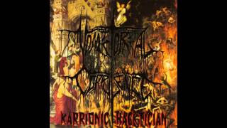 Vomitorial Corpulence ‎(xVxCx) - Karrionic Hacktician FULL ALBUM (1995/2006 - Goregrind/Grindcore)