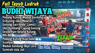 Download lagu Nyesss‼️Tayub Budhi Wijaya, Live Tikung Lamongan #tehajeaudio mp3 Download lagu Nyesss‼️Tayub Budhi Wijaya, Live Tikung Lamongan #tehajeaudio mp3
