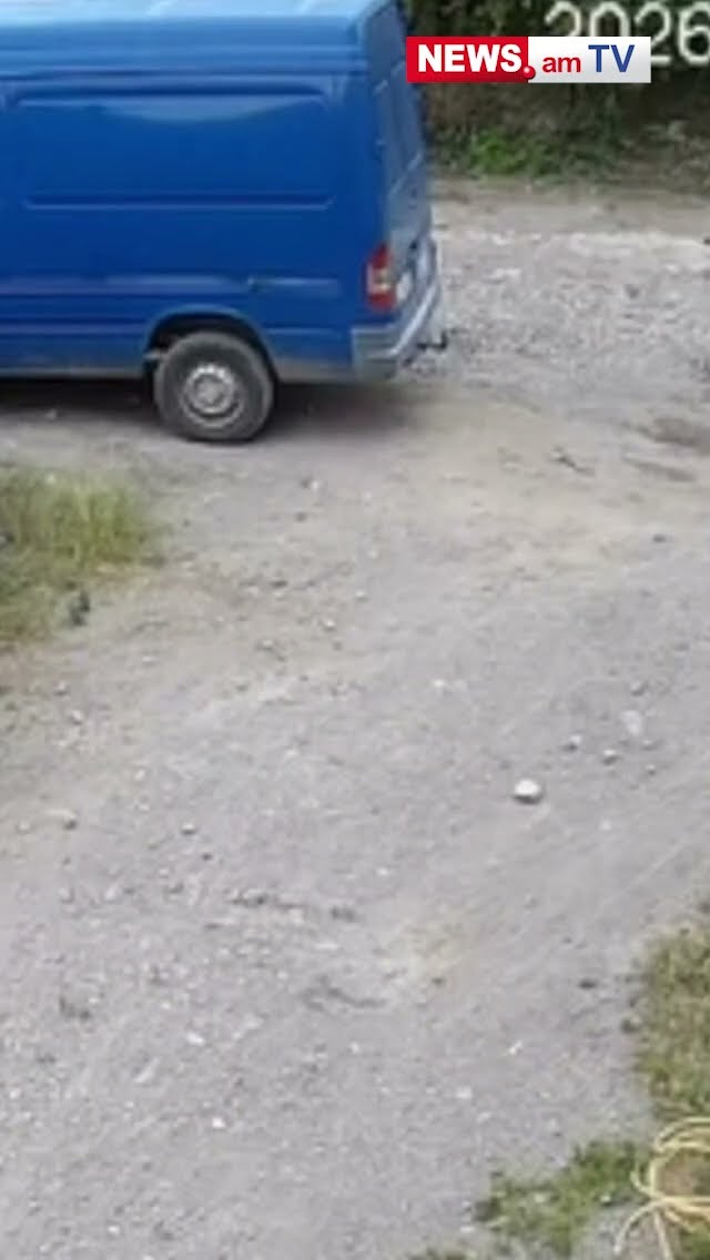 Նոր կադրեր՝ Գորիսում գայլի հարձակումից