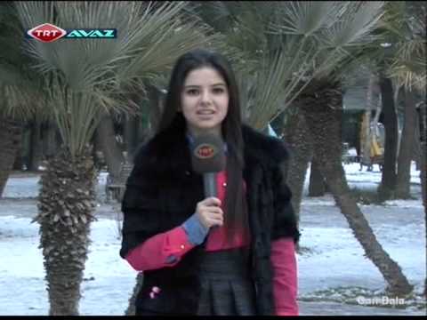 Can Bala | TRT AVAZ