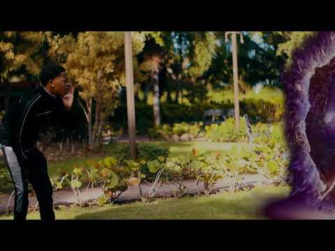 Fortnite _La Ñapa ,Kevin Vin ,Wickypedia MC , Negra Flow (Video Oficial