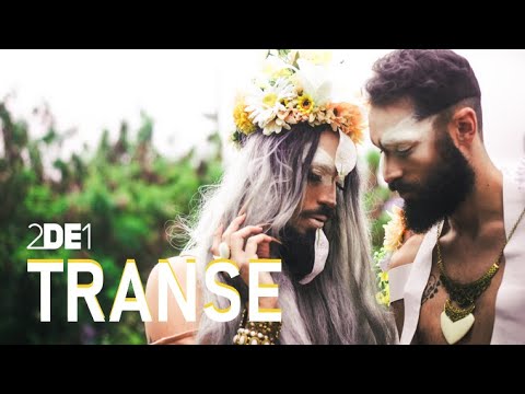 Transe video
