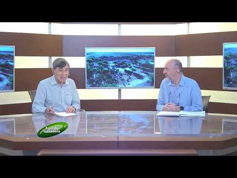 Agenda Ganadera - Lic. Alessandro Piovesana - 11-2-26