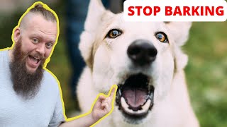 How to Train Your Dog to STOP BARKING at EVERYTHING