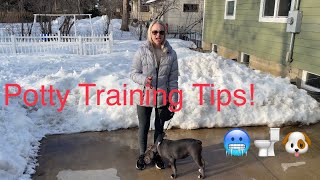 Tips on Potty Training a Puppy During the Cold Winter Months