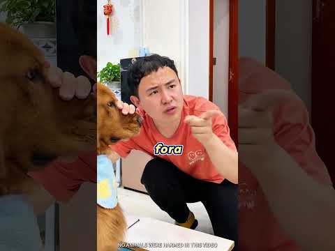 Cachorro dramático tenta não acordar o bebê! | 🐶mini wood toy~woodworking art skills \ hand~