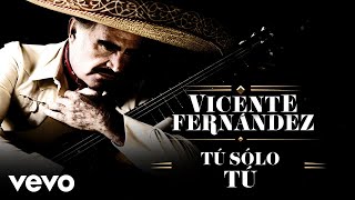 Vicente Fernández - Tú Solo Tú (Letra/Lyrics)