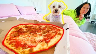 I LEFT MY DOG WITH A WHOLE PIZZA!!