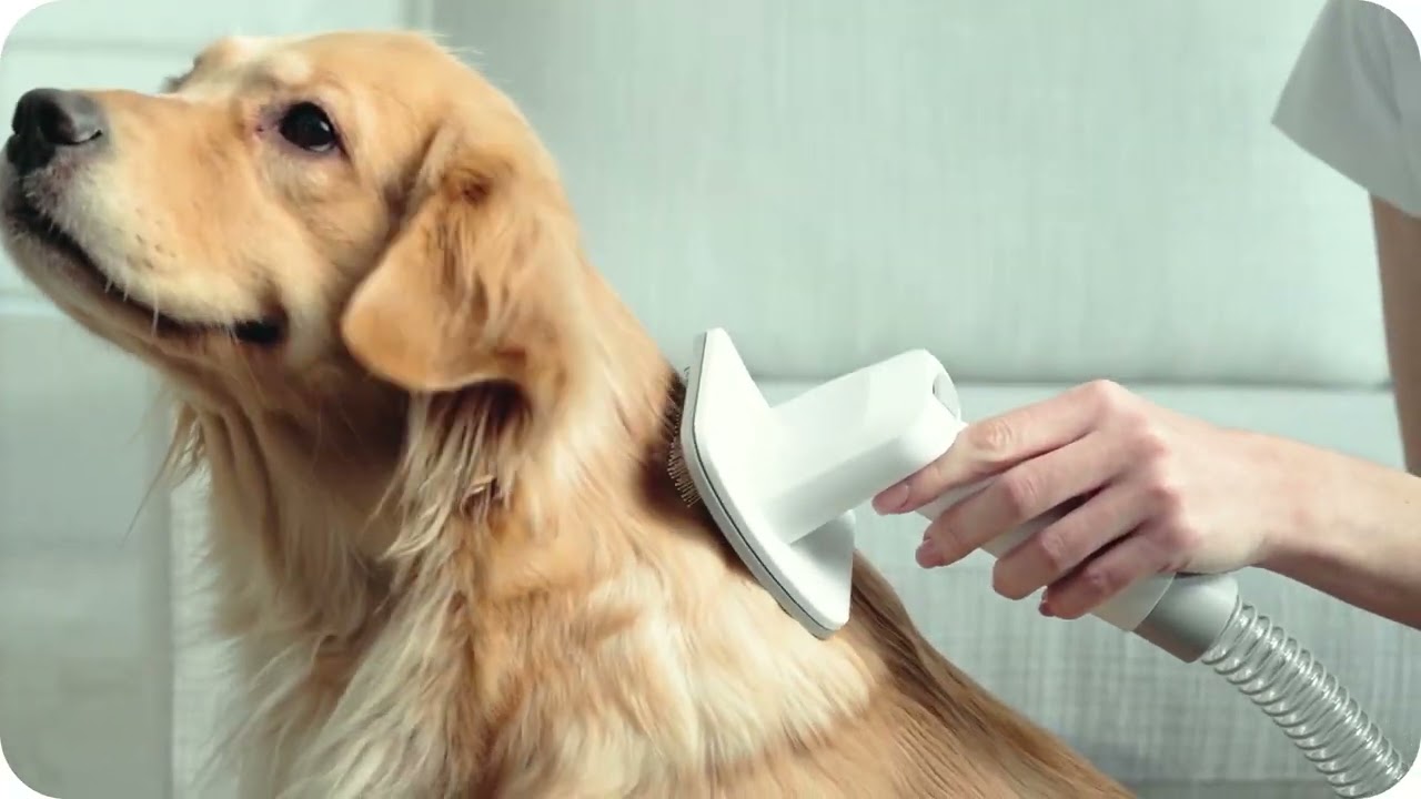 Набор для ухода за домашними животными 5-в-1 PETKIT Grooming Vacuum Kit video preview