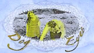 dog eyes – bluebird