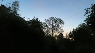 Spring Song and Sunrise for Meditation