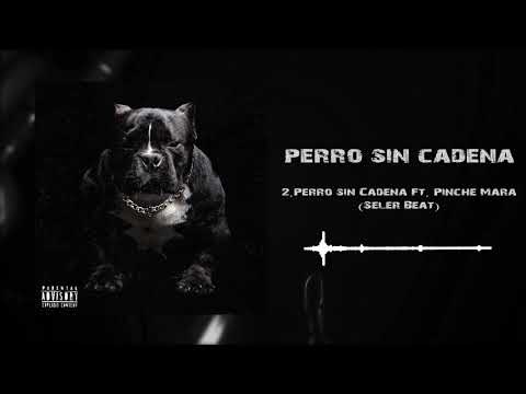 02.- Perro sin Cadena Feat. El Mara