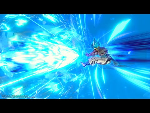 Evolved Punisher Blitz | Dragon Ball Xenoverse 2 Combo