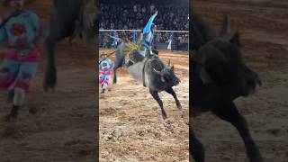 91,50 💥 Carlos Eduardo Campeão de Turiúba 2026 no Xodó do Patrão