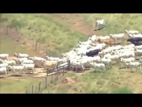 O apóstolo milionário Valdemiro Santiago - Domingo Espetacular 18/03/2012  Parte 1