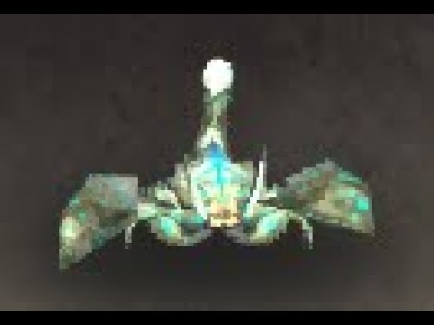 Kalimdor Safari: Leopard Scorpid Battle Pet, Uldum, WoW Retail