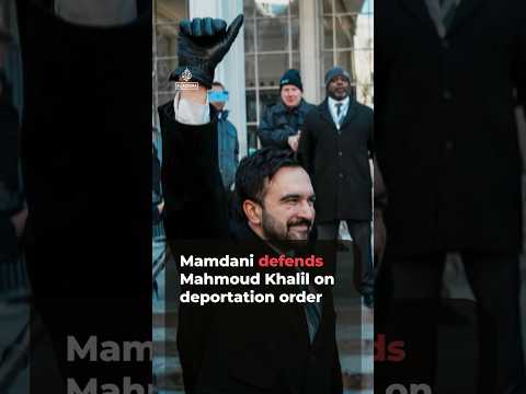 Mamdani defends Mahmoud Khalil on deportation order | #ajshorts