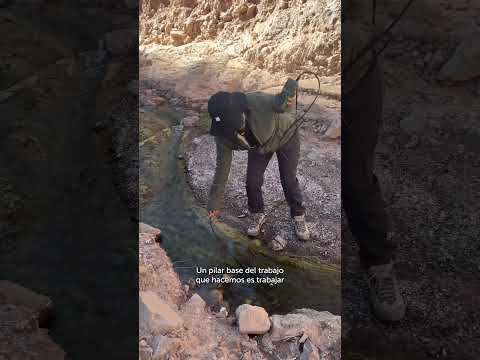 💚 Comenzamos nuevo Proyecto de Conservación en Pozo Almonte