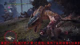 お蕎麦達のアイスボーン23